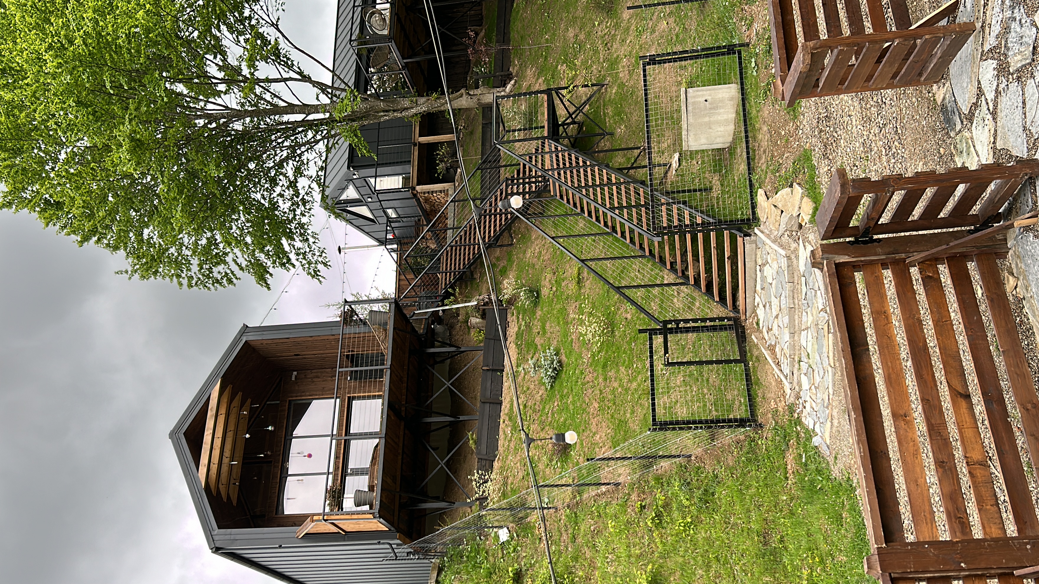 Picture 0