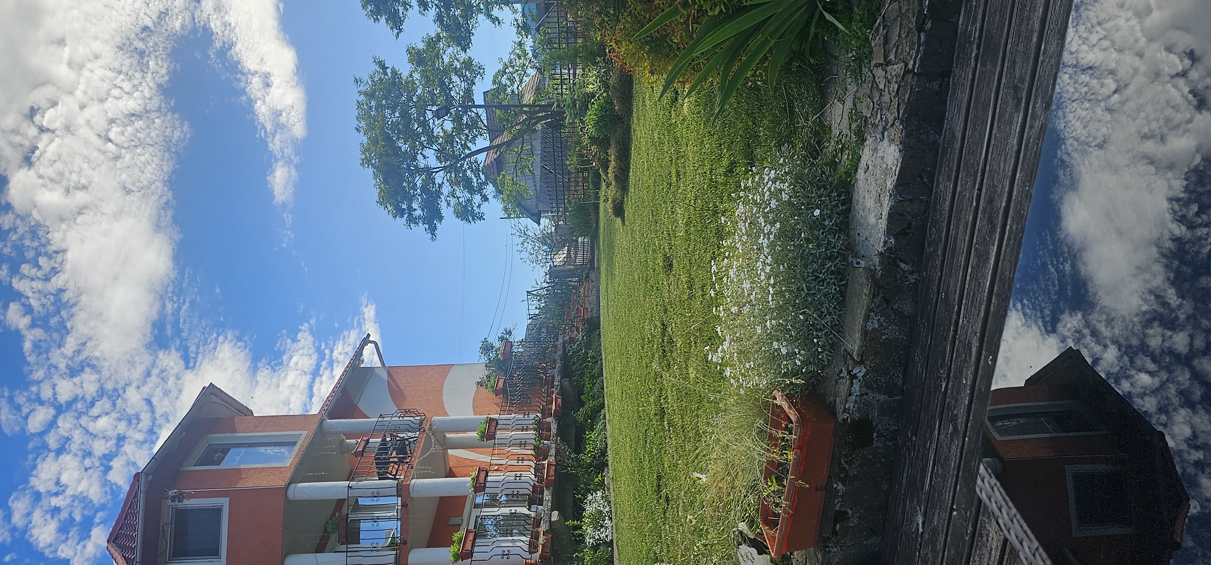 Picture 0